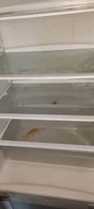 Kühlschrank (vorher)