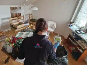 Raeumungsfirma Winterthur